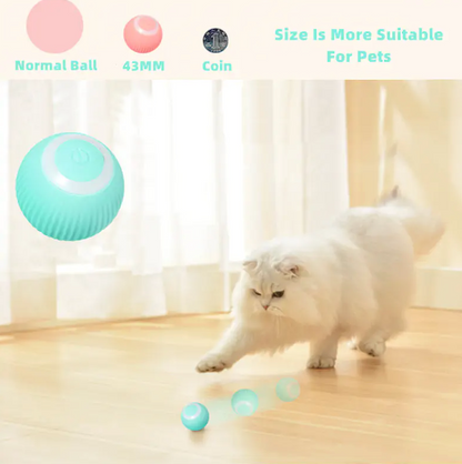 Brinquedos inteligentes com bolas para gatos
