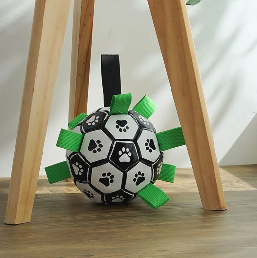 Jogo interativo de futebol para o cérebro dos cães