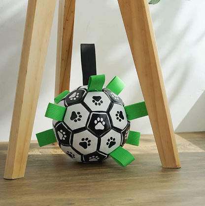 Jogo interativo de futebol para o cérebro dos cães