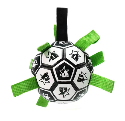 Jogo interativo de futebol para o cérebro dos cães