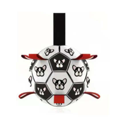 Jogo interativo de futebol para o cérebro dos cães