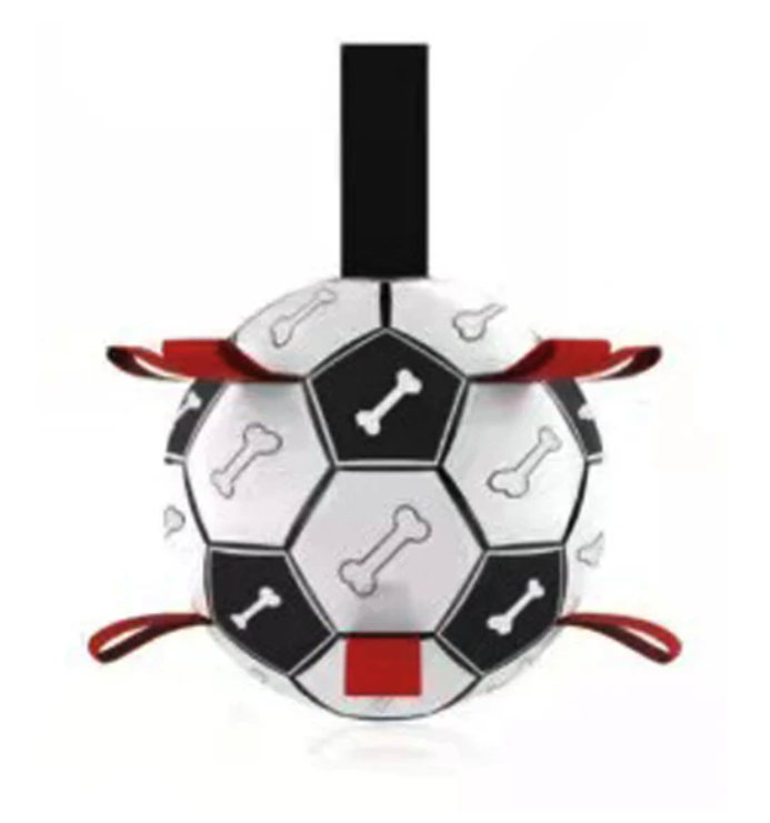 Jogo interativo de futebol para o cérebro dos cães