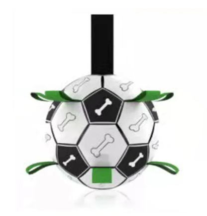 Jogo interativo de futebol para o cérebro dos cães
