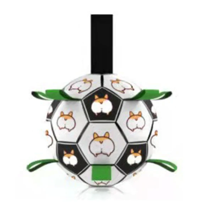 Jogo interativo de futebol para o cérebro dos cães