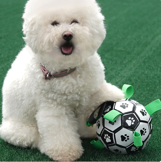 Jogo interativo de futebol para o cérebro dos cães