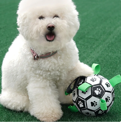 Jogo interativo de futebol para o cérebro dos cães
