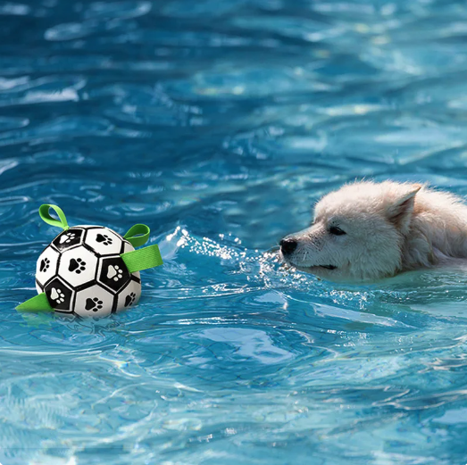 Jogo interativo de futebol para o cérebro dos cães
