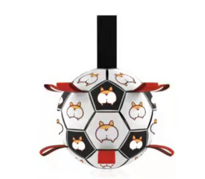 Jogo interativo de futebol para o cérebro dos cães