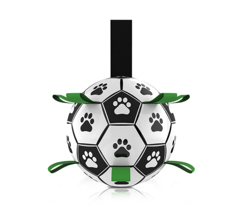 Jogo interativo de futebol para o cérebro dos cães
