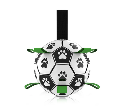 Jogo interativo de futebol para o cérebro dos cães