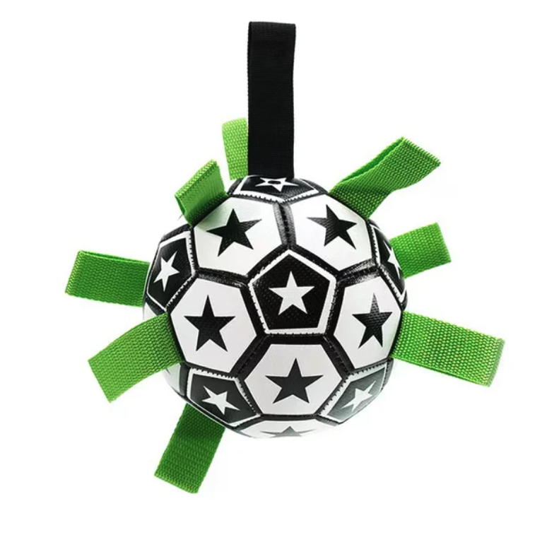 Jogo interativo de futebol para o cérebro dos cães