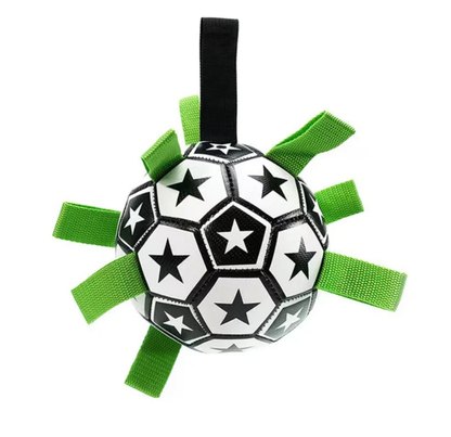 Jogo interativo de futebol para o cérebro dos cães