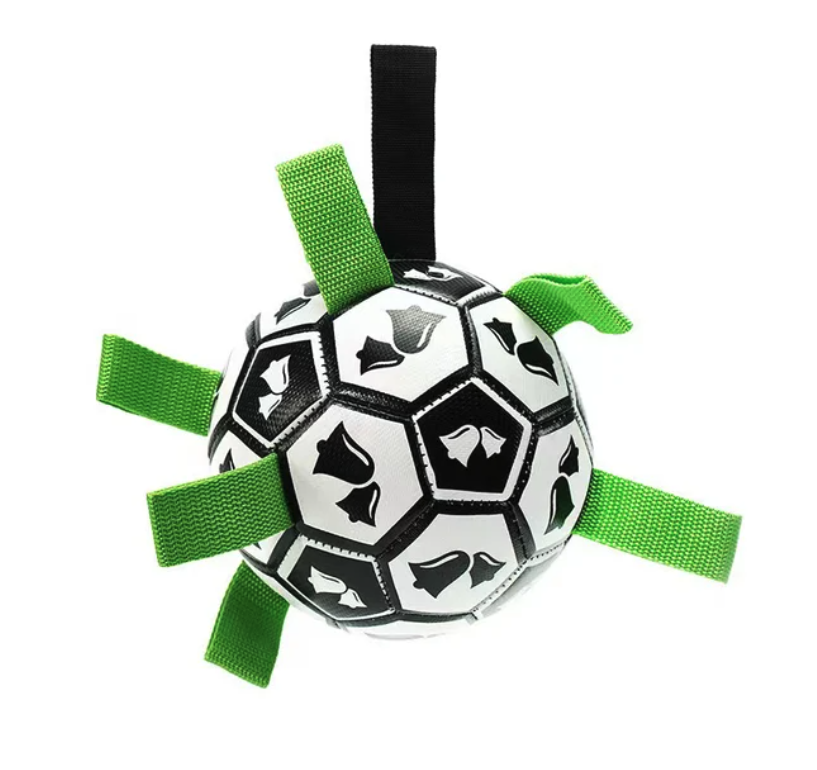 Jogo interativo de futebol para o cérebro dos cães
