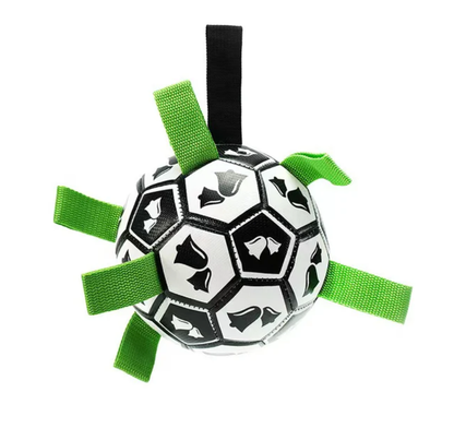 Jogo interativo de futebol para o cérebro dos cães